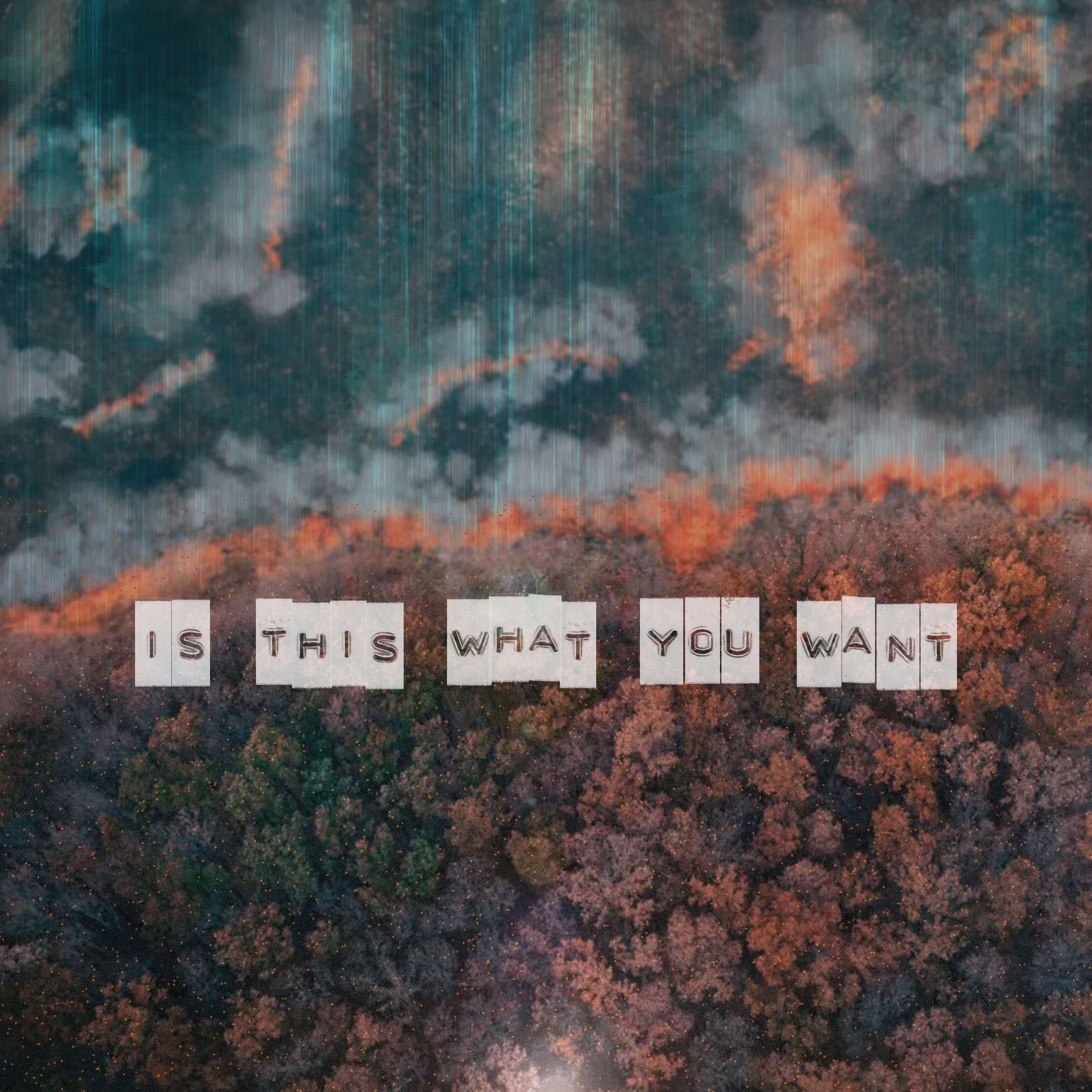 Is This What You Want: is this what you want